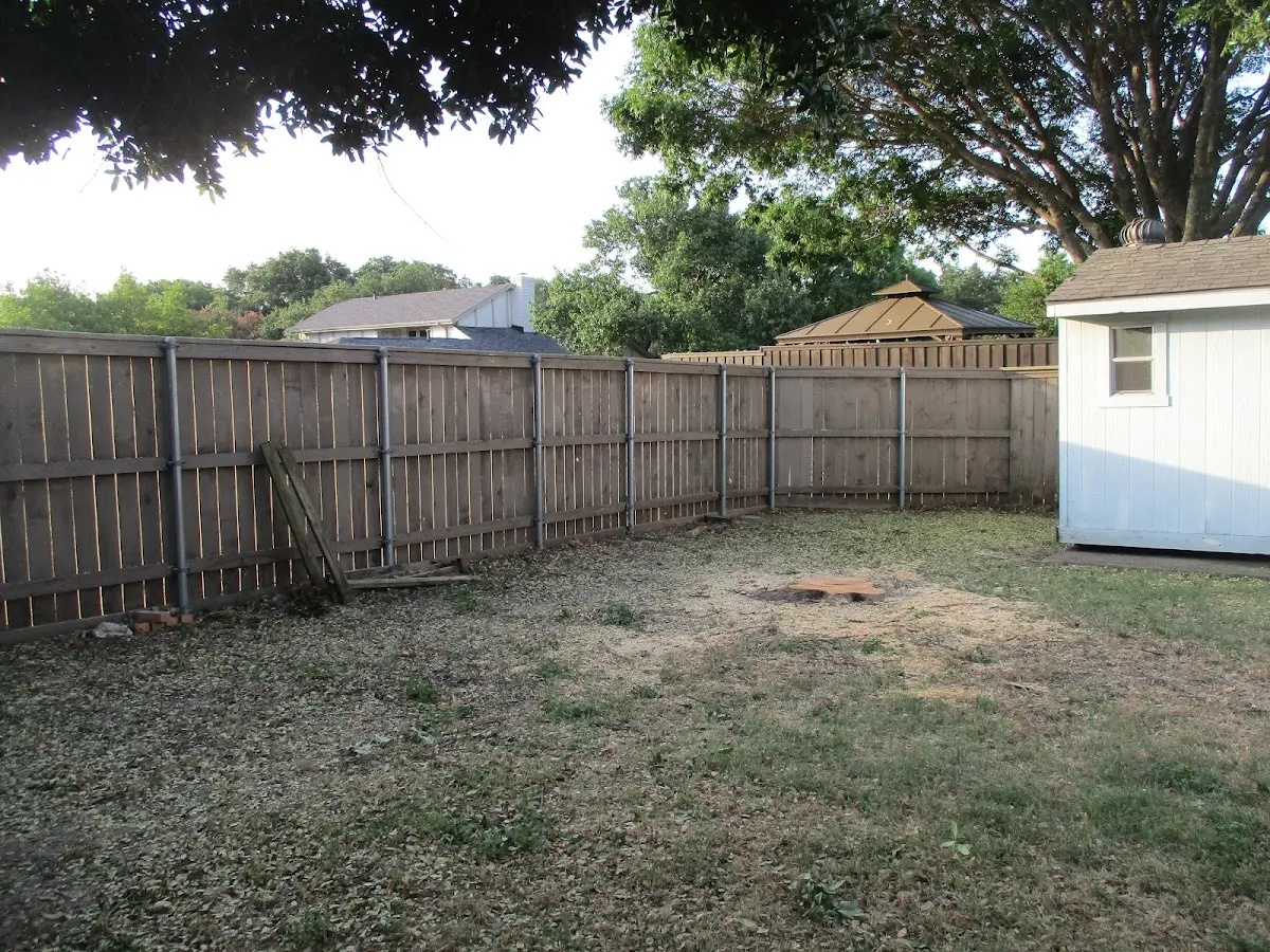 Cleared yard after professional tree removal in Whitney